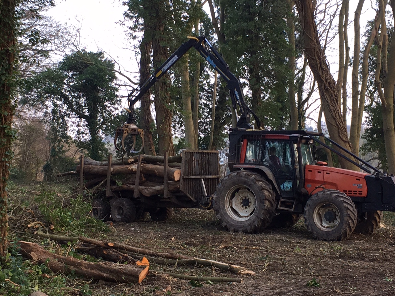 tractor with logs